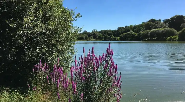 Holiday home in Cezais
