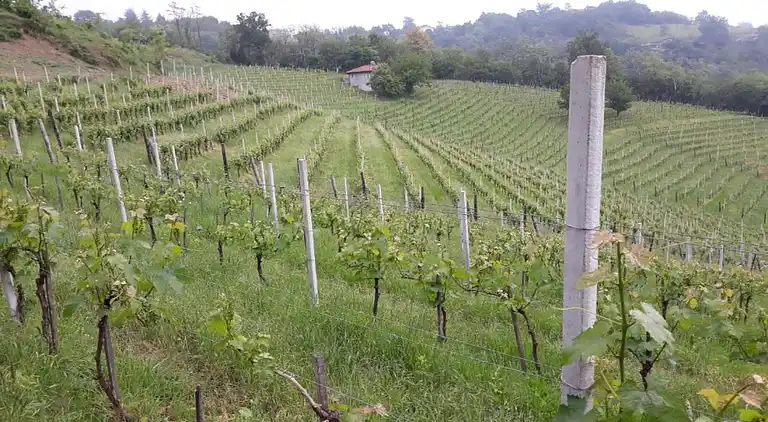 Slott i Tagliolo Monferrato