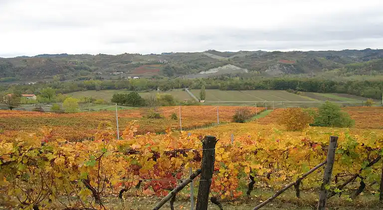 Slott i Tagliolo Monferrato