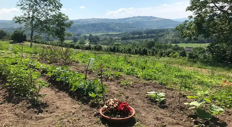 Herregård i Bastia Mondovì