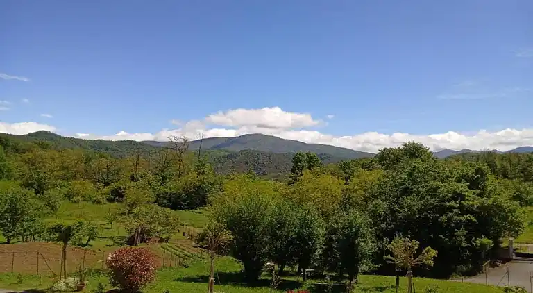 Slott i Tagliolo Monferrato