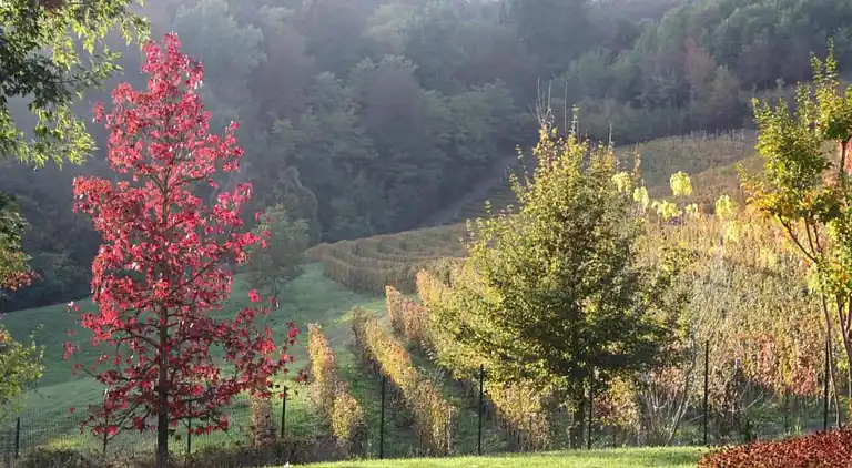 Herregård i Bastia Mondovì