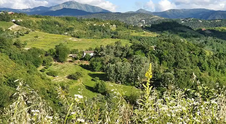 Slott i Tagliolo Monferrato