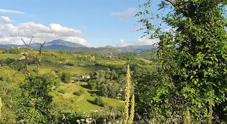 Slott i Tagliolo Monferrato