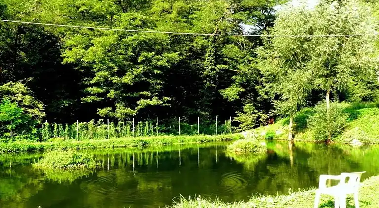 Slott i Tagliolo Monferrato