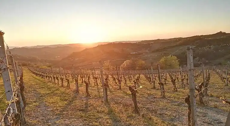 Slott i Tagliolo Monferrato