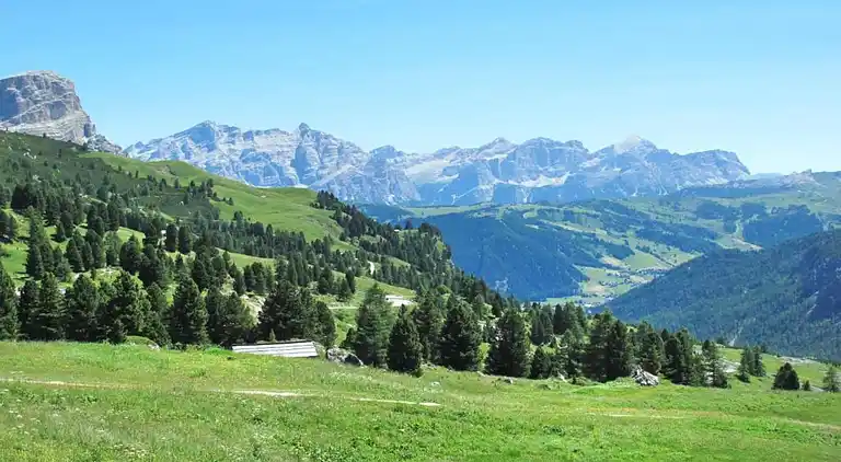 Cottage in Bellamonte