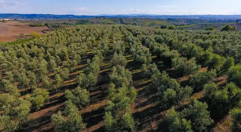 Vakantiehuis in Vinci