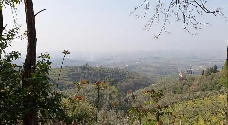 Vakantiehuis in Vinci