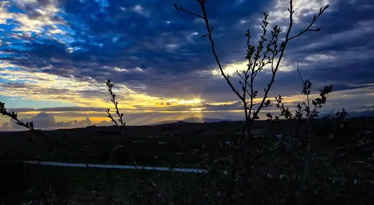 Vakantiehuis in Vinci