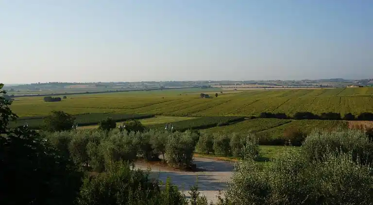 Sommerhus i Foiano della Chiana