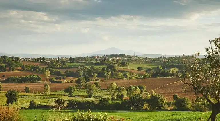 Sommerhus i Foiano della Chiana