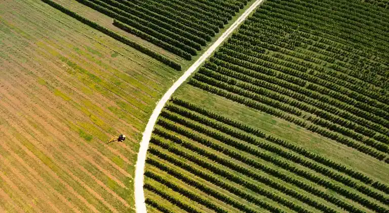 Sommerhus i Foiano della Chiana