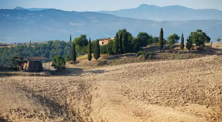Farm house in Asciano