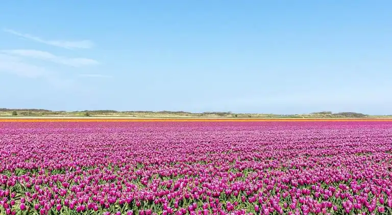 Ferielejlighed i 't Zand