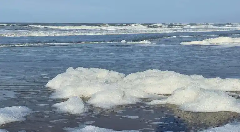 Ferielejlighed i 't Zand