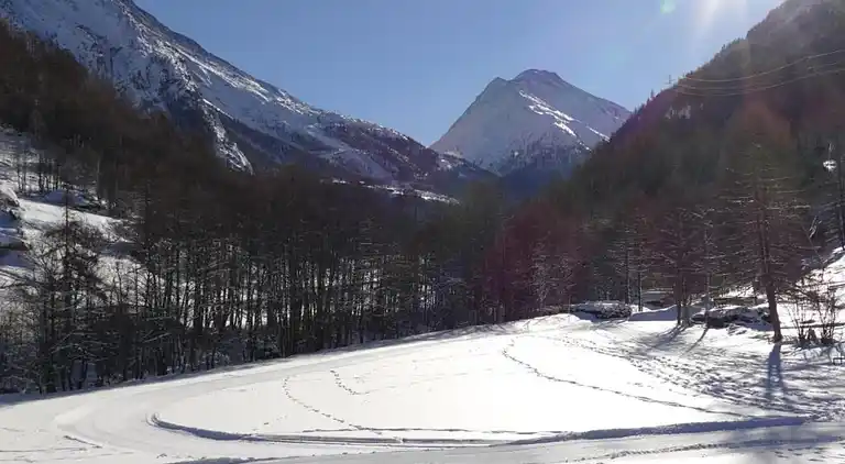 Apartment in Saas-Grund