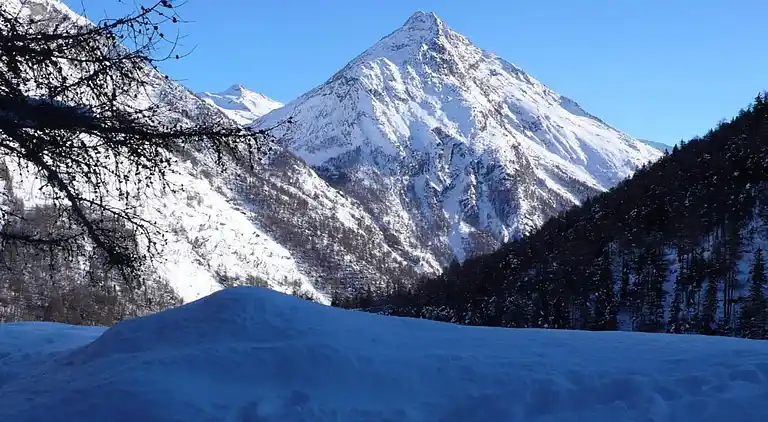 Apartment in Saas-Grund