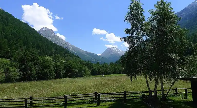 Apartment in Saas-Grund