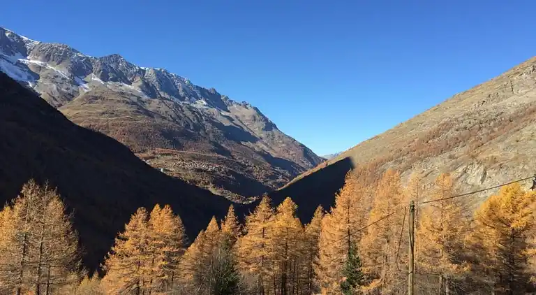 Apartment in Saas-Grund