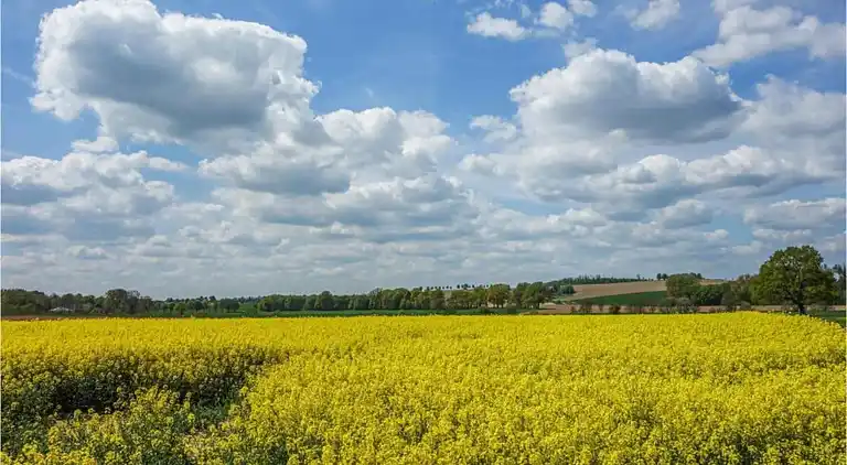 Sommerhus i Bellersen