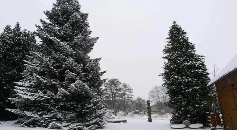 Ferielejlighed i Bellersen