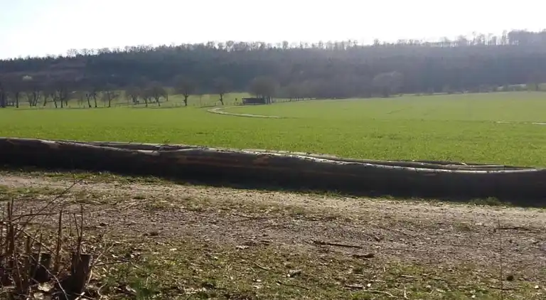 Ferielejlighed i Bellersen