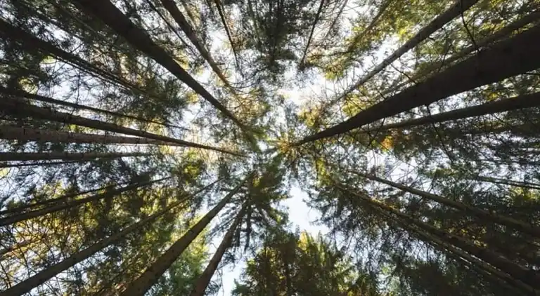 Apartment in Bellersen