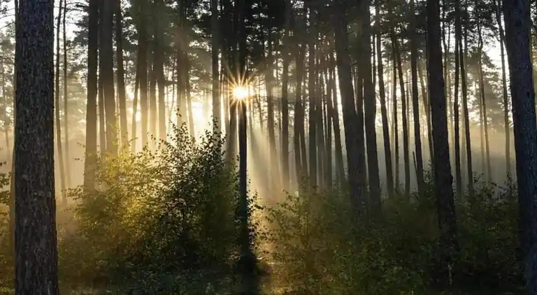 Ferielejlighed i Bellersen