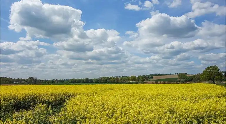 Sommerhus i Bellersen