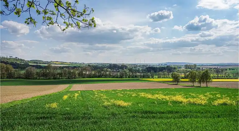 Apartment in Bellersen