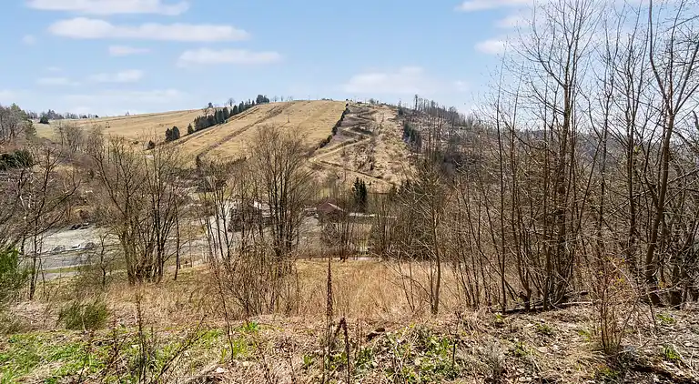 Appartement in Sankt Andreasberg