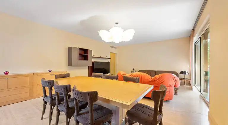 Luxurious Lugano Apartment with City Views