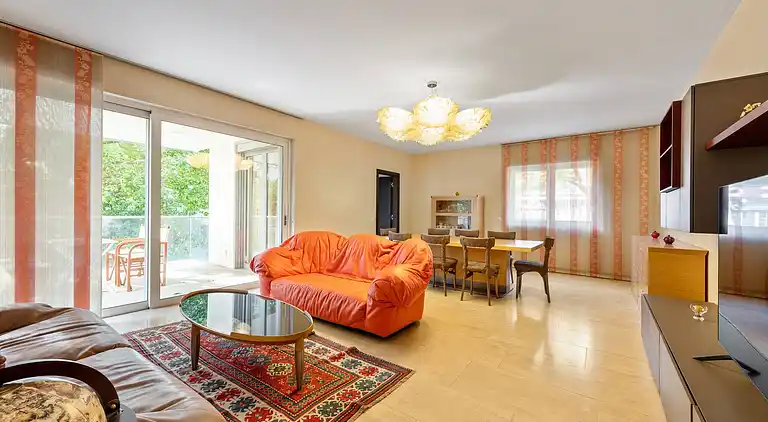 Luxurious Lugano Apartment with City Views