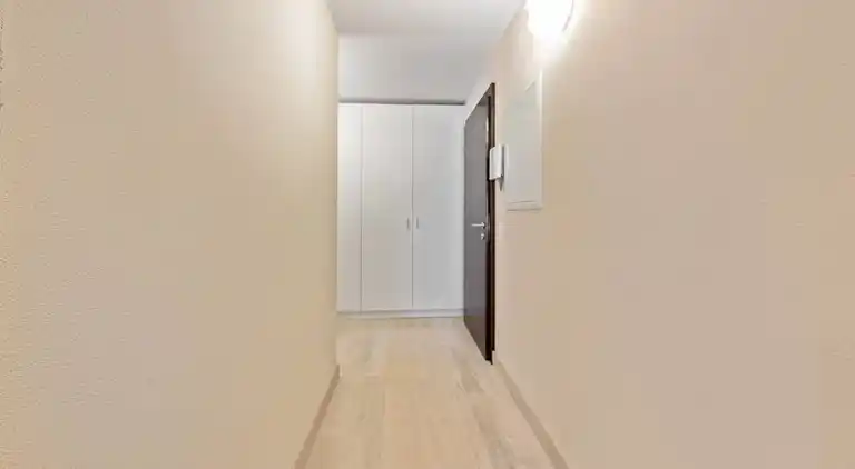 Luxurious Lugano Apartment with City Views