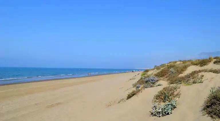 Apartment in Urbanización Cerrado de Elviria