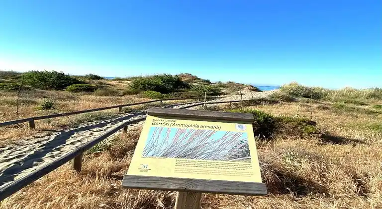 Apartment in Urbanización Cerrado de Elviria
