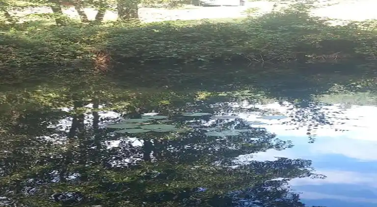 Cottage in Lafrimbolle