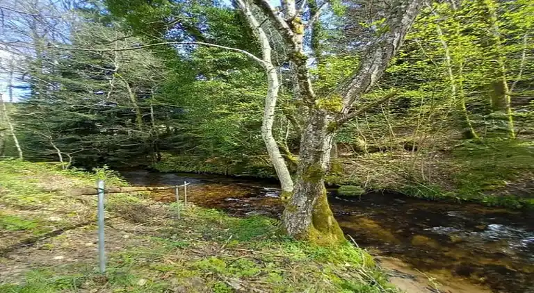 Cottage in Lafrimbolle