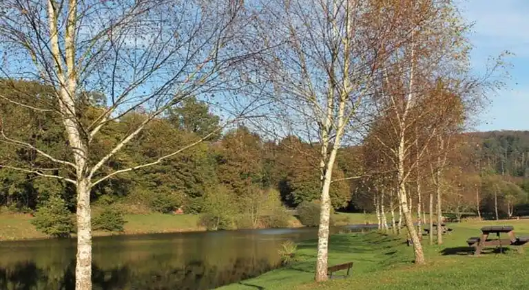 Sommerhus i Abreschviller