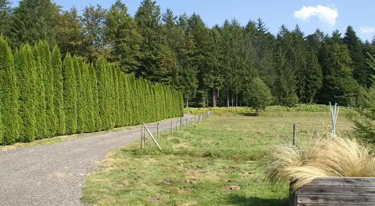 Sommerhus i Abreschviller