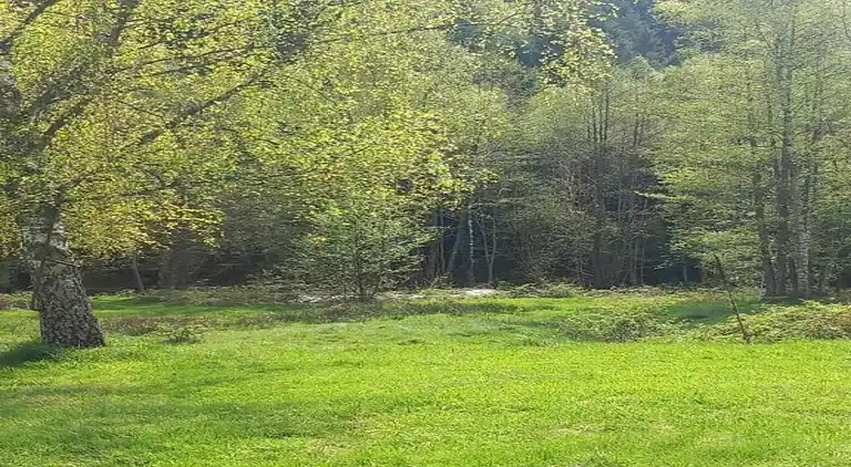 Cottage in Lafrimbolle