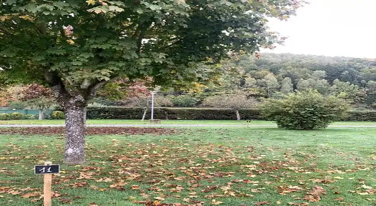 Sommerhus i Abreschviller