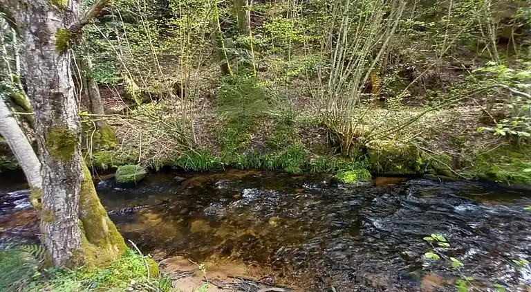 Cottage in Lafrimbolle