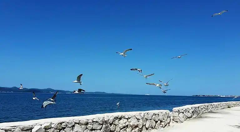 Apartment in Bibinje