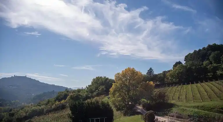 Gårdhus i Passignano sul Trasimeno