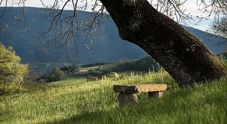 Gårdhus i Passignano sul Trasimeno