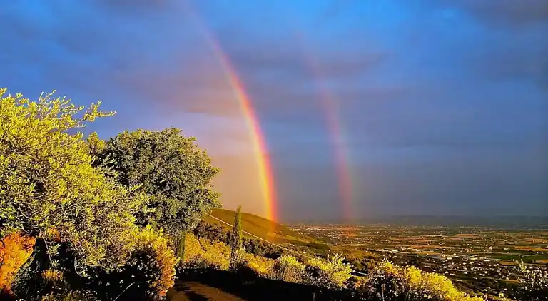 Gårdhus i Passignano sul Trasimeno