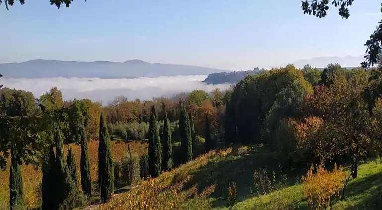 Farm house in Passignano sul Trasimeno