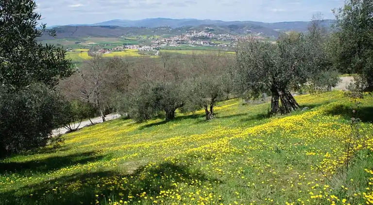 Ferielejlighed i Perugia